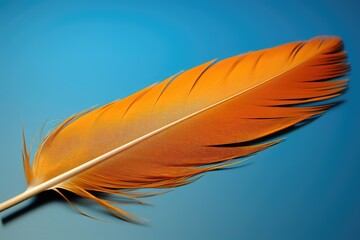Orange feather close-up on a blue background. Advertising banner. Generative AI