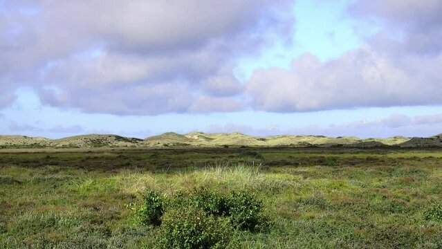 Sand dunes covered with moss and grass in northern Denmark. Cape Grenen near Skagen.