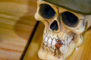 Calavera en primer plano, dia de los muertos