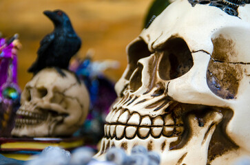 Calavera y cuervo, d&iacute;a de los muertos