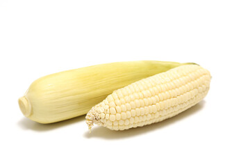 白背景のホワイトコーン