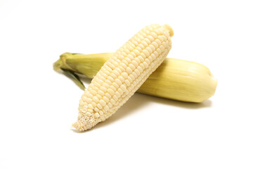 白背景のホワイトコーン