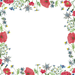 Field flowers frame border, invitation, greeting card with red poppy, camomile, cornflower, eryngium flower hand drawn illustration isolated on white for product design, greeting card, poster, banner.