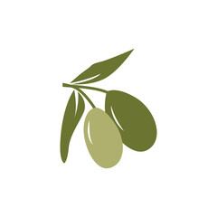 Olive Logo Design, Olive Oil Tree Vector, Simple Illustration Template