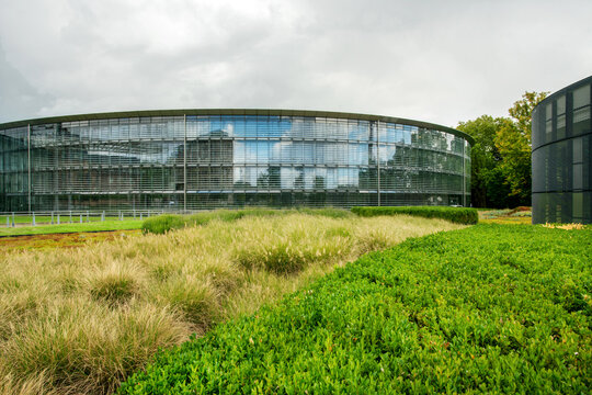 Miscanthus grass and selliera radicans  as part of garden next to Main office building of Bayer Company