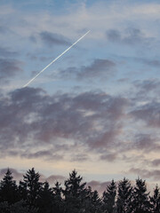 A jet plane leaves a wake in the evening sky over the forest - 633151866