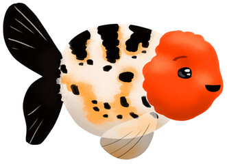 Ranchu Goldfish digital illustration