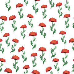 Summer seamless pattern with bright red poppy flowers and poppy pods. Field, meadow of poppies
