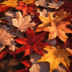 Naklejka na ściany i meble Fall foliage - leaves of red and orange