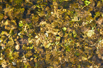 Flussgrund des Kochers, Unterkochen, Baden-Württemberg, Deutschland