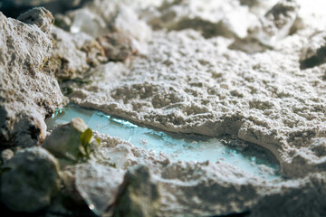 texturas de la naturaleza