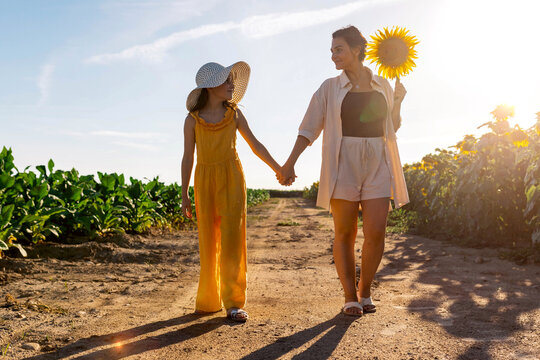 Woman and girl holding hands and standing at sunflower field