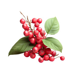 Cowberries isolated on transparent background as a design element