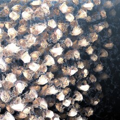 Abstract golden 3D objects on the dark background. 3d illustration, 3d rendering