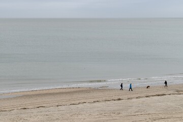 Fototapeta na wymiar people walking with their dog on the beach