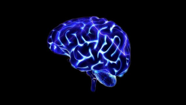 Human Brain - Storm Energy - Spinning Loop - Realistic 3D Animation on Black Screen