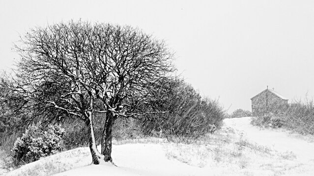 St. Dimitri Snow