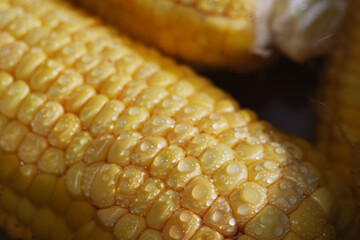 Close up of steamed corn cob
