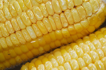 Close up of steamed corn cob