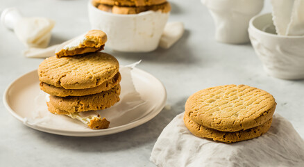 delicious cookies covered with vanilla ice cream with good lighting, concept of professional gastronomic photography in high resolution and sharpness
