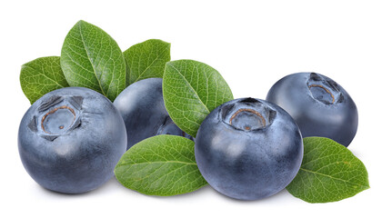 Fresh ripe blueberries with green leaves isolated on white