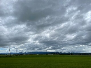 210809田んぼ蔵増

田んぼ
空
曇り
天童市蔵増
雲