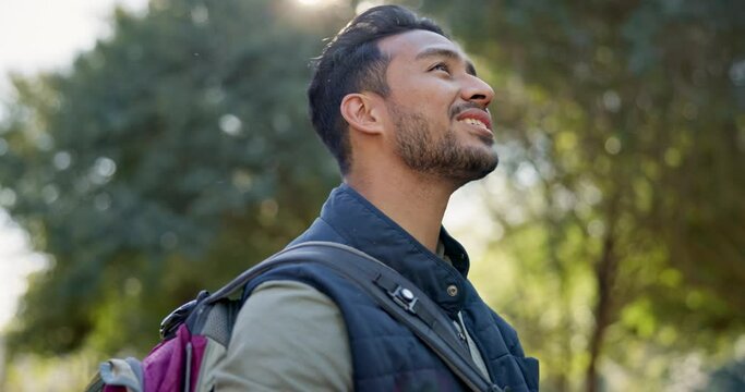 Backpack, forest and man on an adventure, vacation or holiday to explore the outdoor or nature and happy. Peace, calm and person camping in the woods hiking or trekking for fitness training to relax