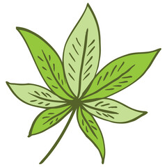green Leaf illustration