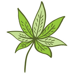green Leaf illustration