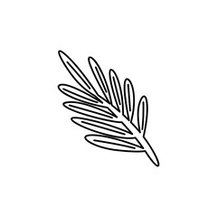 coconut leaves illustration