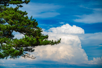 日本の夏空に浮かぶ雲
