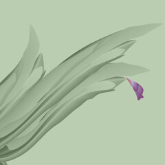 A lonely flower of an unusual plant on a greenish background.