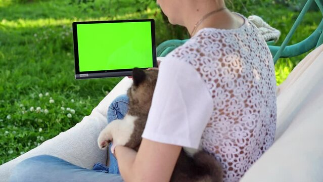 A girl shows an American Akita puppy a green screen of a tablet, buys online dog food, dog care products, communicates in social networks. A girl with a dog rest in the garden, park, nature. High