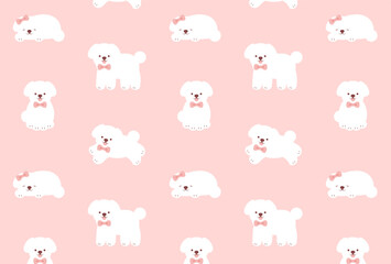 seamless pattern with a set of white Toy Poodles for banners, cards, flyers, social media wallpapers, etc.