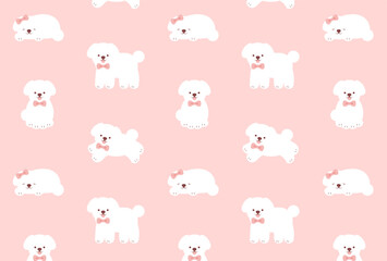 Obraz premium seamless pattern with a set of white Toy Poodles for banners, cards, flyers, social media wallpapers, etc.
