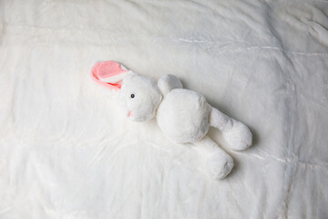 White plush toy rabbit on White  background