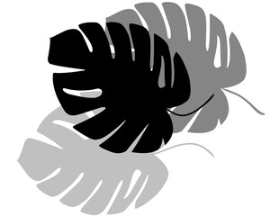 leaf silhouette