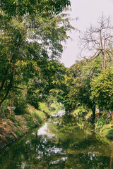 walkway along the canal which is a beautiful corner