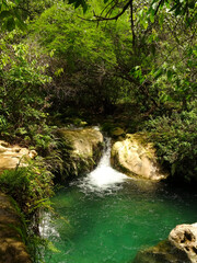 Tropical Creek