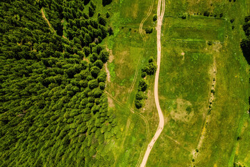 Beautiful natural green forest field with view from air, aerial photo