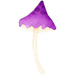 Hand drawn mushroom watercolor