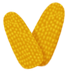 corn