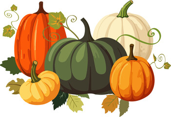 Vector illustration of five various colorful cartoon style pumpkins with leaves on white background. 