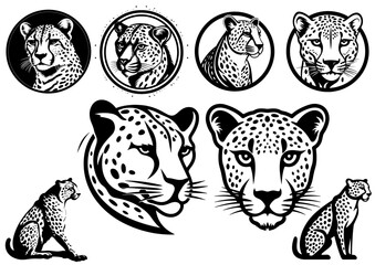 Logos de leopardos vectoriales