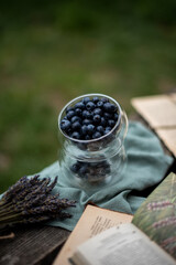 Autumn mood, blueberries in a glass cup on a wooden bench on a background of green grass, an open book and a green cloth napkin are nearby
