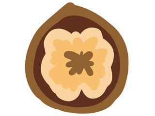 かわいい殻入りクルミ／手描きイラスト素材