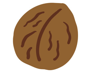 かわいい殻入りクルミ／手描きイラスト素材