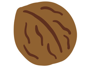 かわいい殻入りクルミ／手描きイラスト素材