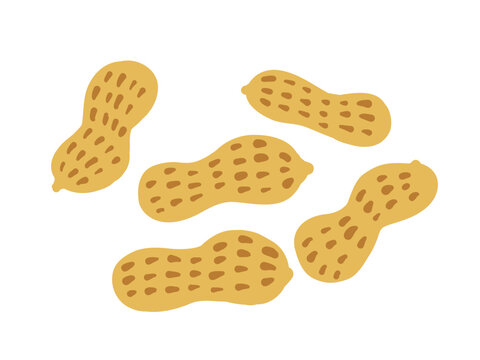 かわいい殻付きピーナッツ／手描きイラストセット