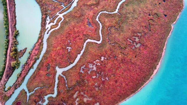 Abstract looking nature and casle in Butrint National Park in Albania.